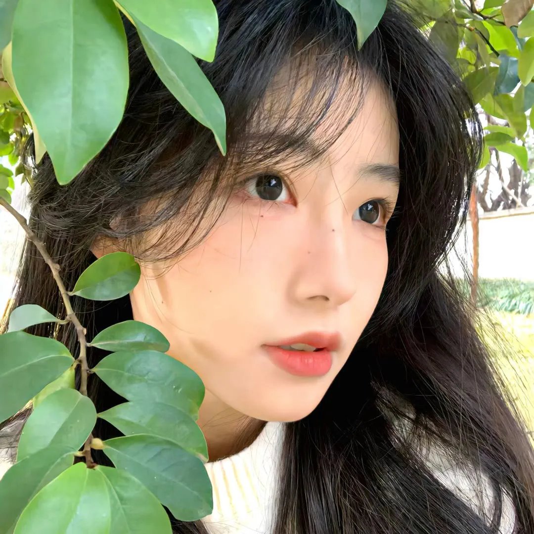 她不知道那些鸟的名字